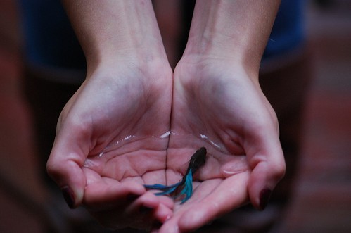 提到愛情有時(shí)會(huì)心痛心碎的傷感說說帶圖片13