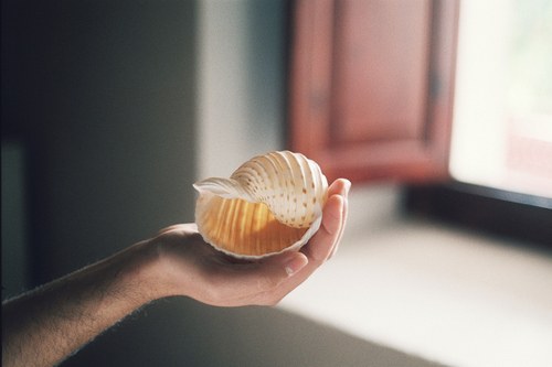 關(guān)于青春成長的美到極致的唯美句子帶圖片12