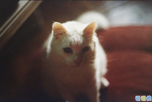 分手后感人落淚的一段話傷感說(shuō)說(shuō)帶圖片 寫(xiě)給分手后男女生的傷感說(shuō)說(shuō)9