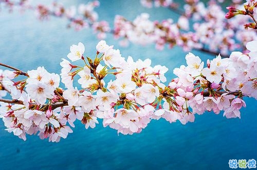 2019非主流經(jīng)典愛情說說帶圖片 很打動(dòng)人的一些愛情真理3