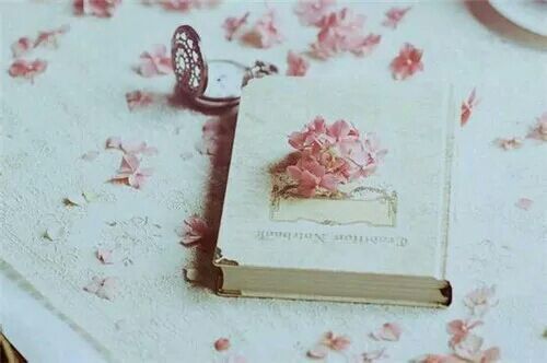 簡(jiǎn)單美好生活的小清新詩意句子帶圖片8