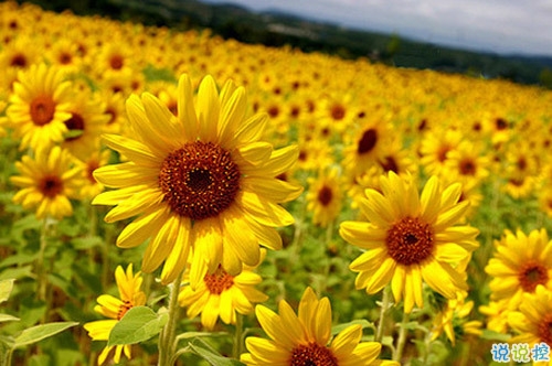 人生感悟說說剪短一點的 經(jīng)歷成長的經(jīng)典說說合集1