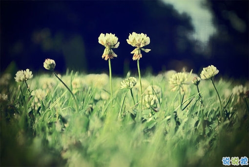 簡單美好的個性說說超級暖心 2019請多指教2