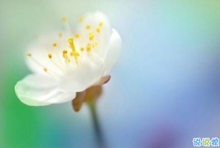 適合這個(gè)年紀(jì)發(fā)的說說朋友圈 簡單又走心的心情說說引人共鳴2