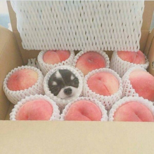 一瞬間戳中你淚點(diǎn)的傷感說說帶圖片5