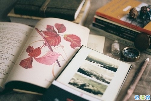 有點傷感的愛情說說帶圖片 失去一個人后是什么感覺 6