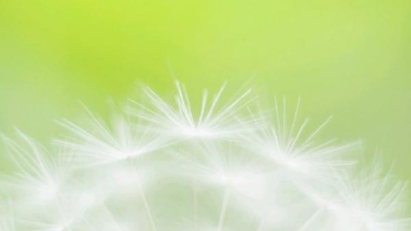 關(guān)于人生的超勵(lì)志正能量圖片說說 你優(yōu)秀了自然有對的人與你并肩7