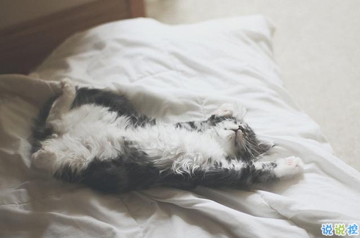 傷感心痛的說說帶圖片 一顆心已經(jīng)破碎的傷感說說9