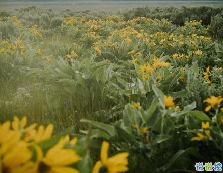 睡覺(jué)前的朋友圈晚安說(shuō)說(shuō)帶圖片 晚安心語(yǔ)說(shuō)說(shuō)心靈雞湯配圖9