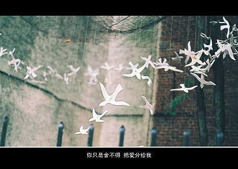 超傷感難過悲傷的愛情說說 你是我枯水年紀(jì)里的一場雨15