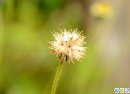 微信朋友圈治愈系早安心語說說 溫暖小清新早安說說大全5