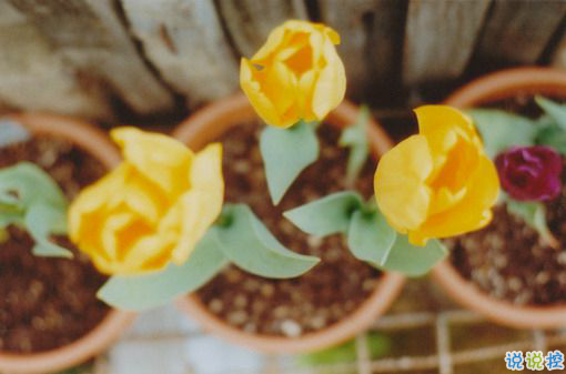 日升日落讓人感到傷感的說(shuō)說(shuō) 時(shí)間和愛(ài)情帶給我們的憂傷傷感說(shuō)說(shuō)1