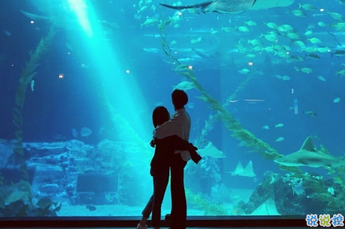 很甜的愛情說說配圖：小學(xué)時，想和喜歡的人同桌；初中時，想和喜歡的人同班6