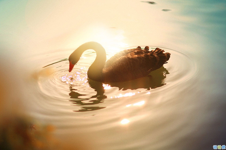 抖音最火曬結婚證的說說 2019領結婚證的朋友圈文藝簡短1