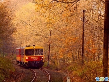 感悟生活的早安心情說說 陽光這么好別辜負(fù)了今天7