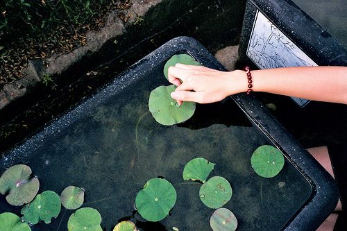 關(guān)于生活的有點傷感但很現(xiàn)實的圖片說說 哭也不會改變什么這個世界從來不會對任何人溫柔9