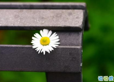 睡不著的傷感晚安說說 晚上容易想太多的傷感句子2