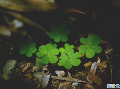 曾幫你度過艱難日子的一句話說說 超級勵志給人力量的個性說說1