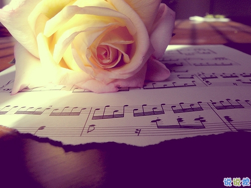 突然很想哭的心情說說大全 快手寫進心坎的傷感句子1