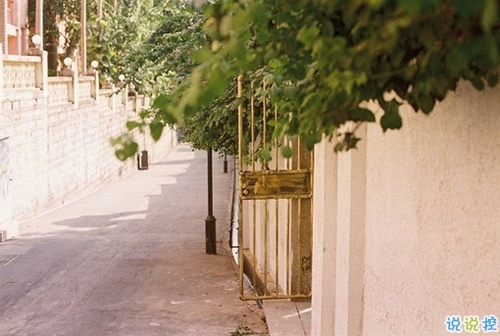 向來(lái)緣淺奈何情深的傷感句子 特別傷感的句子大全句句扎心1