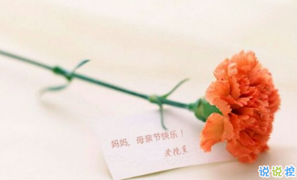 關(guān)于2018母親節(jié)說說朋友圈配圖 記得對媽媽說一句我愛你9