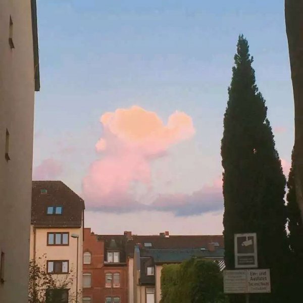 關(guān)于人生和夢想的很現(xiàn)實(shí)的經(jīng)典哲理說說帶圖片5