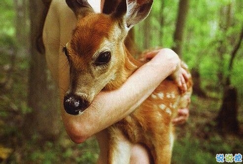 突然不喜歡一個人/放棄一個人是一種什么樣的感受？10