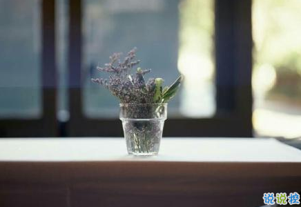 經(jīng)典有道理的說說帶圖片：我讀過很多書，但后來大部分都被我忘記了6