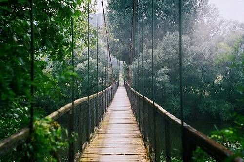 關(guān)于成長(zhǎng)人生和愛(ài)情的美到讓人心碎的說(shuō)說(shuō)帶圖片13