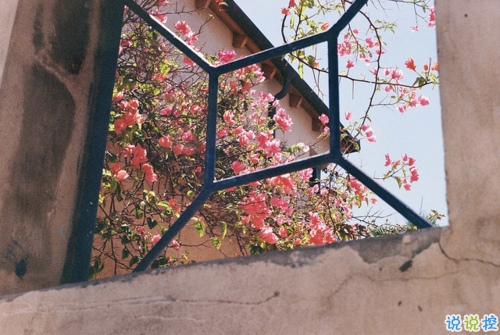 和2018說再見的朋友圈說說 再見2018你好2019微信心情說說1