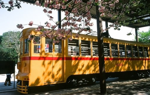 關于人生哲理和現(xiàn)實經(jīng)歷的一句話簡單精辟的說說帶圖片3