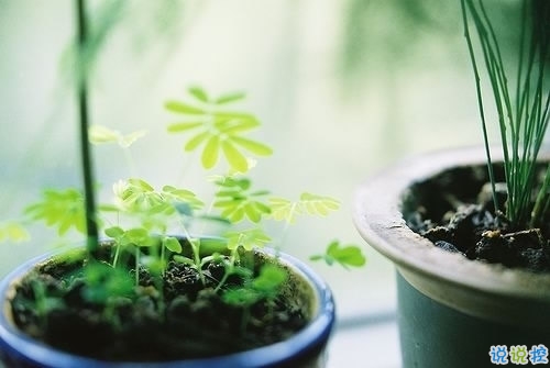 值得收藏的人生大道理勵(lì)志說說帶圖片 好聽的激勵(lì)人心的說說配圖6