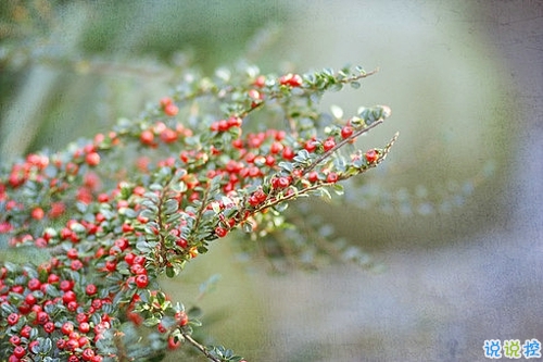 優(yōu)美說說唯美的句子配圖：海底月是天上月，只是鏡花水月12