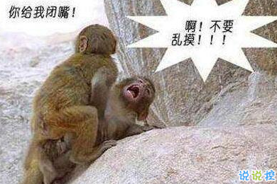 有意思的圖片加說說 適合發(fā)朋友圈的搞笑段子圖片10