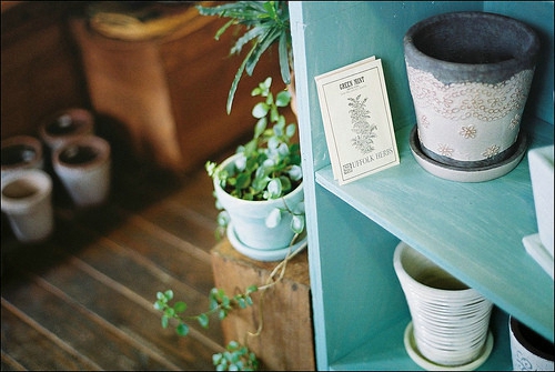 文字控喜歡的有道理又很優(yōu)美有詩(shī)意的晚安心語(yǔ)圖片說(shuō)說(shuō)7