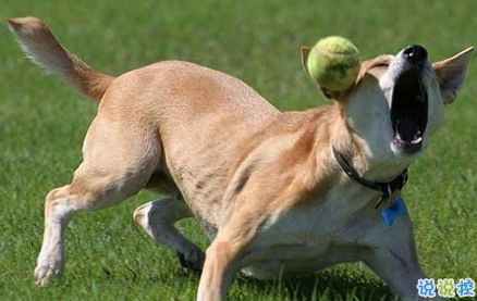 笑死人的說說帶圖片帶文字 逛街時(shí)的你和你的朋友14