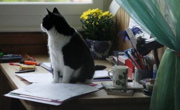 關(guān)于愛(ài)情的甜蜜小句子帶圖片 我忘記誰(shuí)都不能忘記那個(gè)夏天的你8