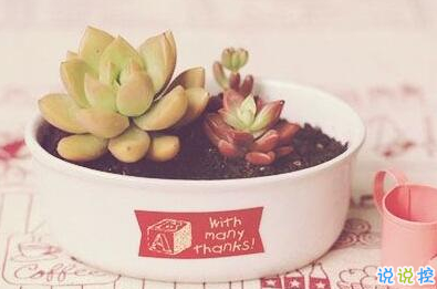 承蒙你出現(xiàn)，夠我喜歡好多年11