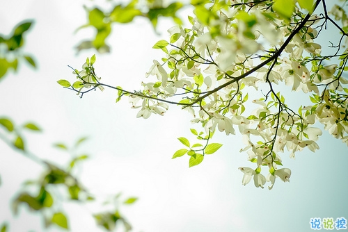 給人正能量的早安句子2019精選 早安說說簡短經(jīng)典一句話1