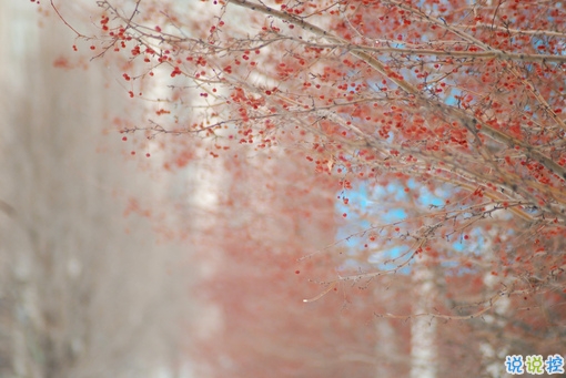 讓人溫暖的說說大全很有安全感 適合向女生表白的暖心說話2