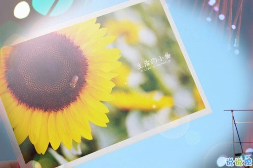 2019二月你好三月再見說(shuō)說(shuō)心情短語(yǔ) 三月請(qǐng)對(duì)我好一點(diǎn)唯美說(shuō)說(shuō)2