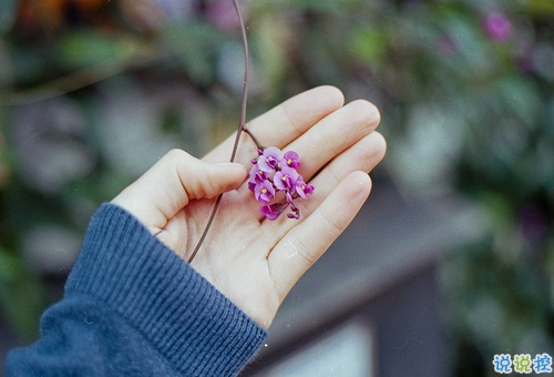 心里不痛快的說說有點想哭 感覺自己不容易的心情說說2
