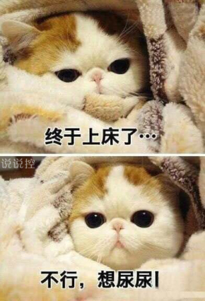 關(guān)于天冷的搞笑說(shuō)說(shuō)，形容天氣冷的幽默句子