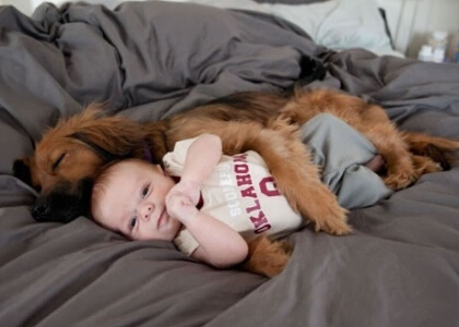 2016最新搞笑說(shuō)說(shuō)