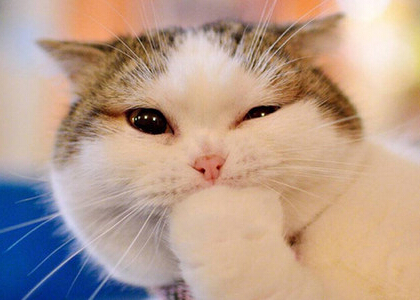 最新微信點(diǎn)開全文段子，朋友圈點(diǎn)開全文搞笑段子