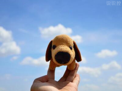 關(guān)于單身狗的說說，單身狗搞笑說說