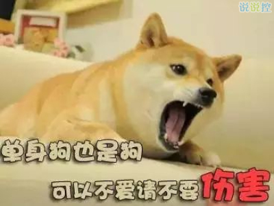 關(guān)于單身狗的說(shuō)說(shuō)，單身狗搞笑說(shuō)說(shuō)