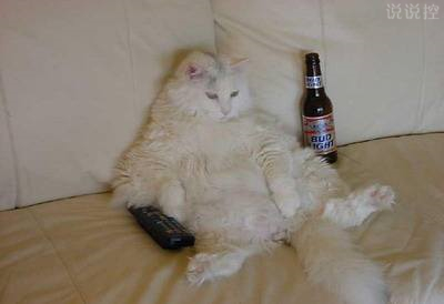 幽默的說說笑死人