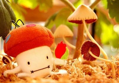 超級(jí)搞笑的說(shuō)說(shuō)，超級(jí)搞笑的段子