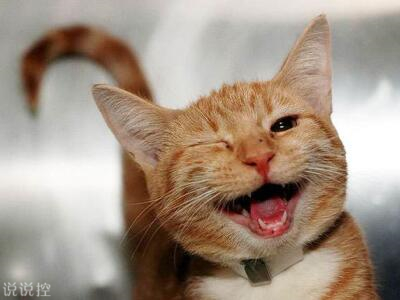 爆笑說(shuō)說(shuō)大全，爆笑笑話(huà)笑死人不償命